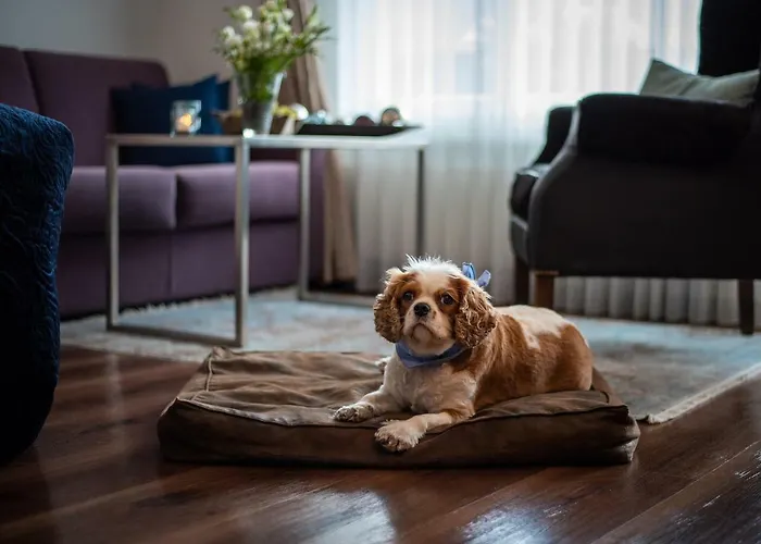 فندق Mirabeau Alpine زيرمات