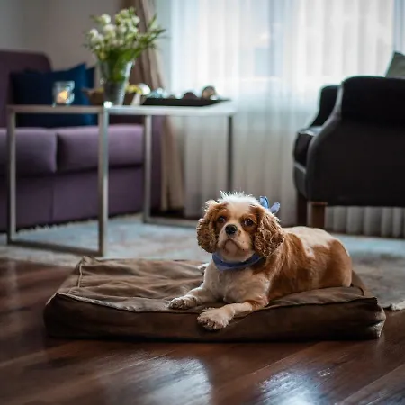 מלון Mirabeau Alpine צרמט